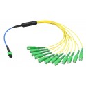 MTP - Fanout Harness Cables