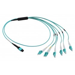 MTP - Fanout Harness Cables