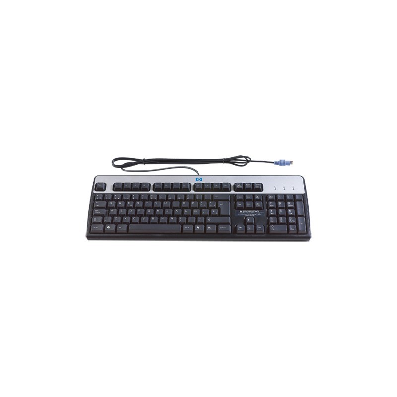 P PS/2 Standard Keyboard