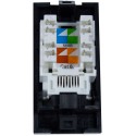 Cat6 UTP RJ45 Module - Euromod Size