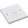 Cat5e UTP RJ45 Loaded Faceplates