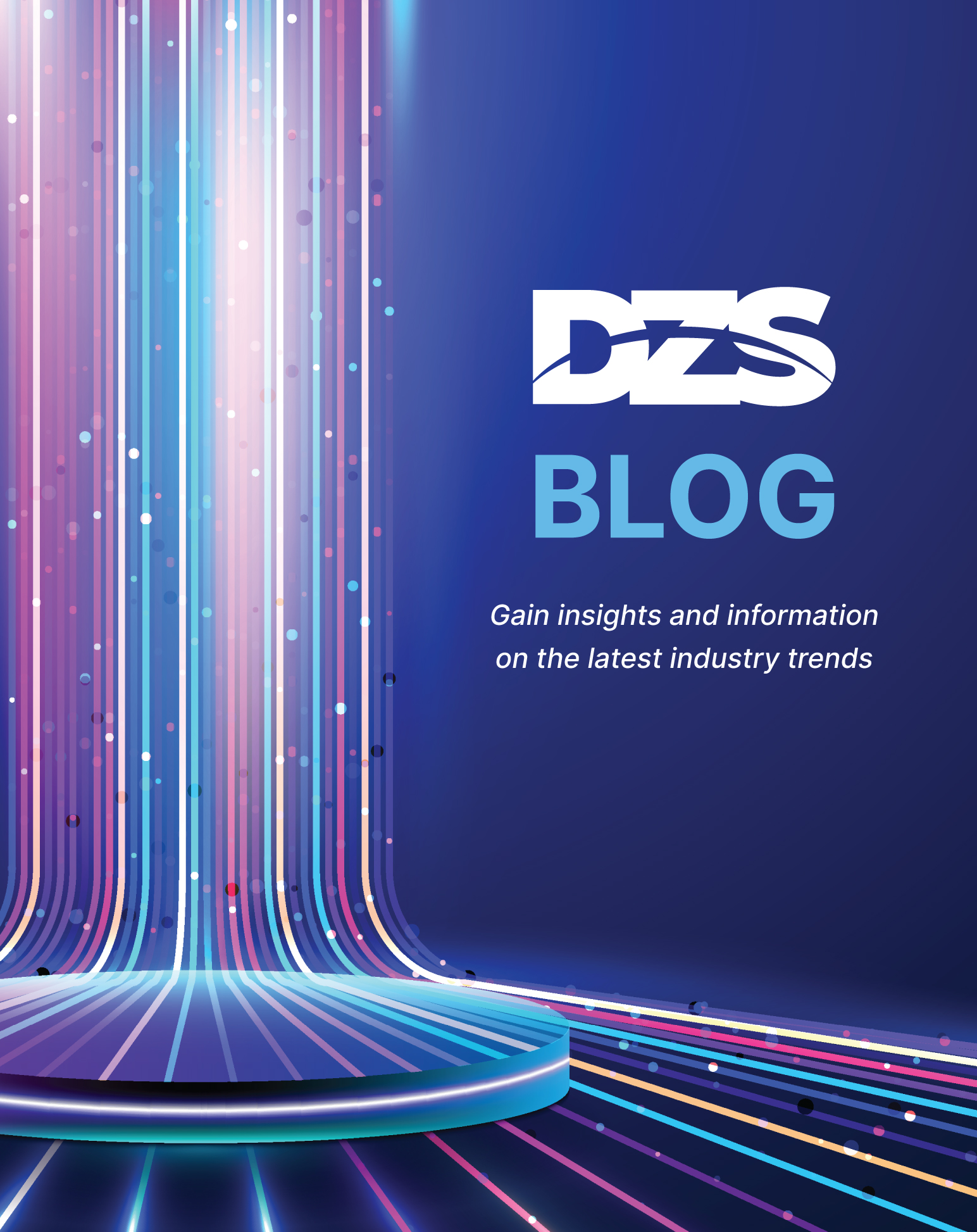 DZS Blog