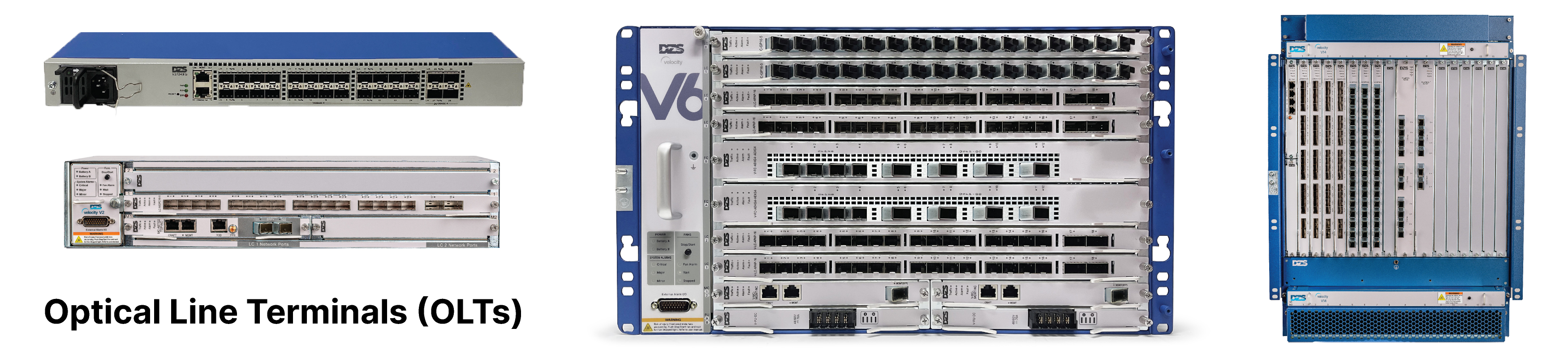 Optical Line Terminals (OLTs)